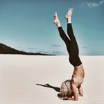 @stonefoxsweat's profile picture on influence.co