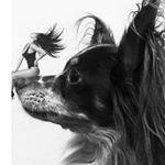 @justene_j's profile picture on influence.co