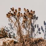 @salvalopez's profile picture on influence.co