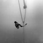 @aitanameg's profile picture on influence.co