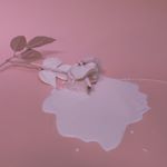 @fuckitunknown's profile picture on influence.co