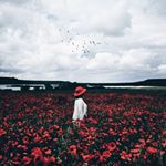 @maitebeach's profile picture on influence.co