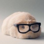 @daphnethavaud's profile picture on influence.co