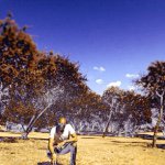 @liquideepsa's profile picture on influence.co