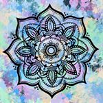 @designbyheels's profile picture on influence.co