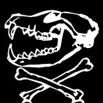 @kaunetroxx's profile picture on influence.co