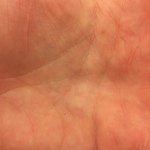 @sguillermos's profile picture on influence.co