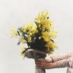 @littlebuckles's profile picture on influence.co