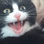 @xxthekeeperxx's profile picture on influence.co