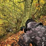 @expressionpicture's profile picture on influence.co