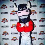 @universitoro's profile picture on influence.co