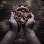 @marcosmoran's profile picture on influence.co