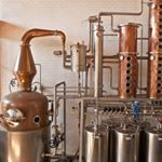 @widow_jane's profile picture on influence.co