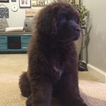 @blanchethenewfie's profile picture on influence.co