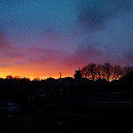 @notype1975's Profile Picture