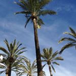 @michellelouise_xo's profile picture on influence.co