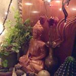 @tallerviejas's Profile Picture