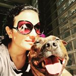 @pattyanddexter's profile picture on influence.co