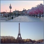 @deparisabordeaux's profile picture on influence.co