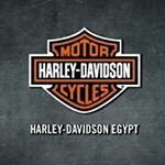 @harleyegypt's profile picture on influence.co