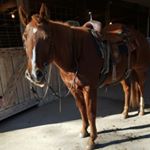 @dannii_baker's profile picture on influence.co