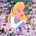 @liliya325's profile picture on influence.co