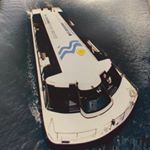 @melbournerivercruises's profile picture on influence.co