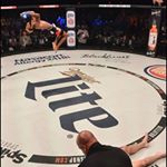 @thewolfmma's profile picture on influence.co