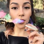 @trippy.treez's Profile Picture