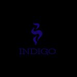 @the_indigo_experience's profile picture on influence.co