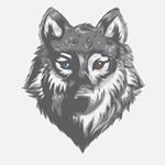 @shewolf.adventures's profile picture on influence.co
