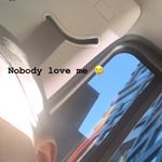 @jaidensaylor's profile picture on influence.co