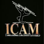 @icamchallenge's profile picture