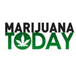 @marijuana.today's profile picture on influence.co