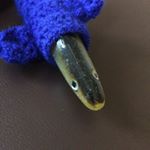 @eel_travels's profile picture on influence.co