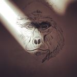@reports's profile picture on influence.co