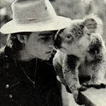 @lightscompanion's profile picture on influence.co