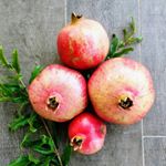 @thehomegarden's Profile Picture