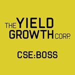 @yieldgrowth's profile picture on influence.co