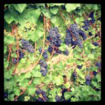 @dfgaspar27's profile picture on influence.co