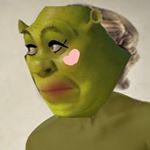 @shreknina's profile picture on influence.co