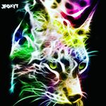 @jfoxyt's profile picture on influence.co