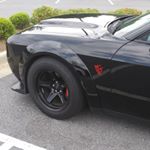 @romanraines2018's profile picture on influence.co