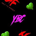 @ybc_vell's profile picture on influence.co