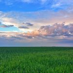 @alexarevan's profile picture on influence.co