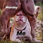 @marcusalexander602's profile picture on influence.co