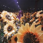 @afra_nissa's profile picture on influence.co