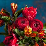 @supernew877's profile picture on influence.co