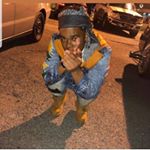 @keedakidd_'s profile picture on influence.co