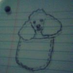 @faze_king13309's profile picture on influence.co